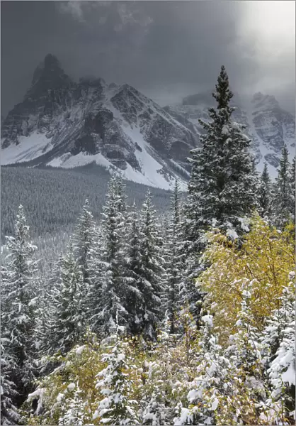 The Valley of the Ten Peaks, after recent snowfall, Banff National Park, Alberta, Canada