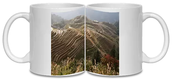 Rice-growing fields on hillside terraces, in use since the Yuan dynasty (about 13th century)