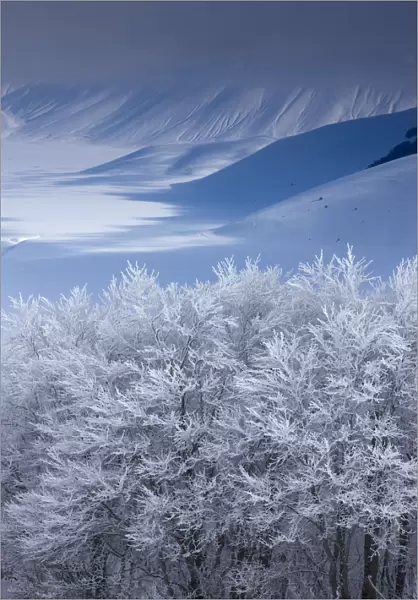 Snow-covered Piano Grande in winter. Monti Sibillini National Park, Umbria, Italy