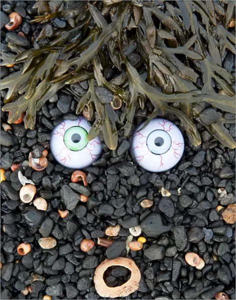 Troll face amongst seaweed, Islay, Scotland