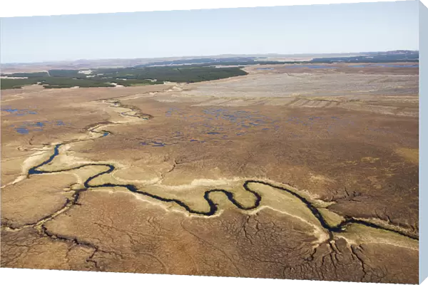 Aerial view across the Flow Country showing peatland pool system with commercial