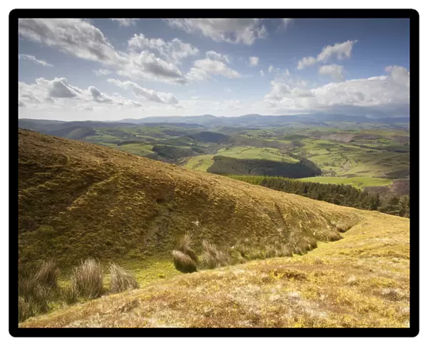 View of upland agricultural landscape in the Cambrian Mountains, part of the Pumlumon
