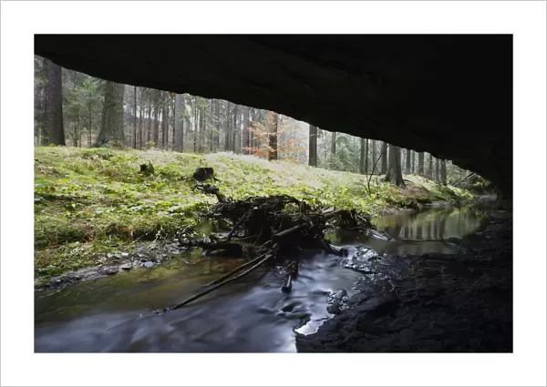 Mezni Potok  /  Stream flowing under a rock, Rynartice, Ceske Svycarsko  /  Bohemian