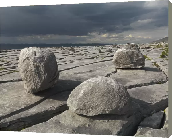 Karst limestone landscape, The Burren, County Clare, Ireland, June 2009