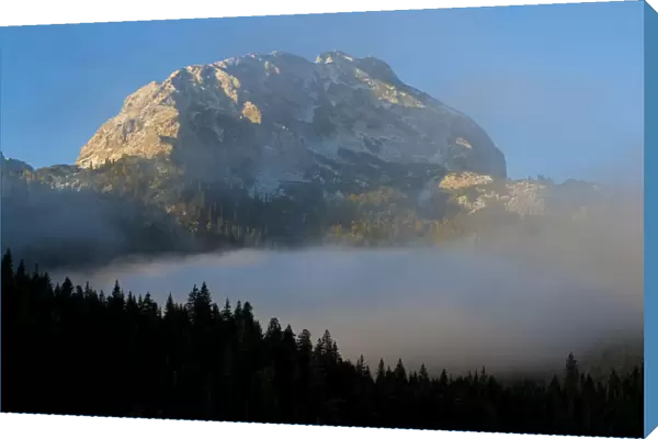 Big Bear peak with morning mist over forest, Durmitor NP, Montenegro, October 2008