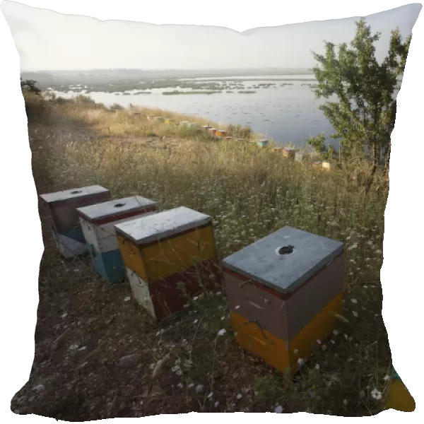Bee hives on the edge of a lake near Patras, The Peloponnese, Greece, May 2009