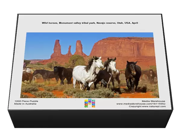 Wild horses, Monument valley tribal park, Navajo reserve, Utah, USA. April