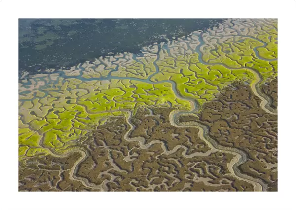 Aerial view of the coast, river beds and saltmarshes of the Bahia  /  Bay de Cadiz Natural Park
