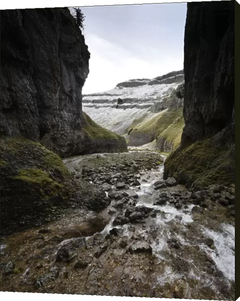 Gorge cut through Carboniferous Limestone, probably a result of a collapsed cave. Gordale Scar