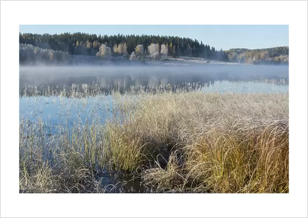 Misty lake on a cold autumn morning, Jyvaskyla, Central Finland, October 2015