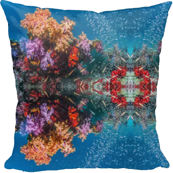 Kaleidoscopic image of soft corals (Dendronephthya sp. ), Andaman Sea, Thailand
