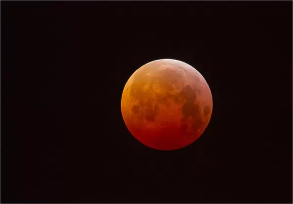 Super Blood Wolf Moon or Blood Moon Eclipse so called because a Lunar eclipse is appearing