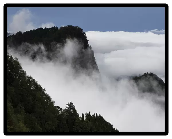 Misty mountains, Alishan National Recreational Forest, Taiwan
