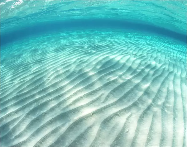 Ripples in the sand of a shallow sandbar in clear water. Stingray City Sandbar, Grand Cayman, Cayman Islands, British West Indies, Caribbean Sea