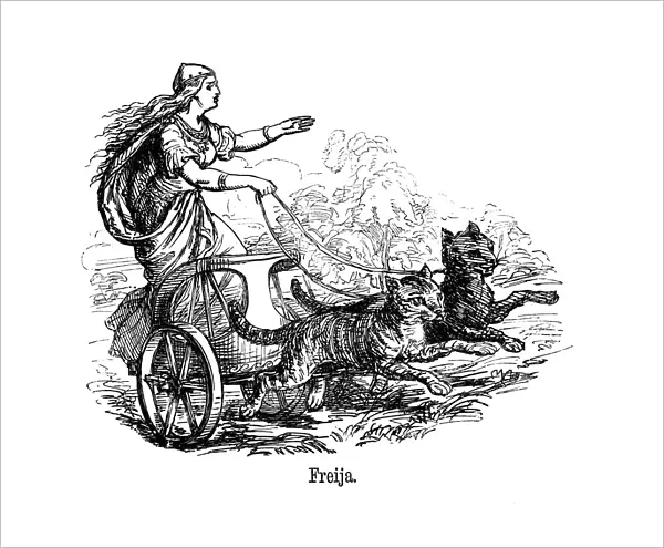 Freya (Frigg) goddess of love in Scandinavian mythology, driving her chariot pulled by cats