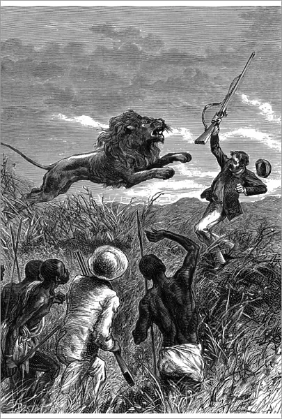 David Livingstone, Scottish missionary and African explorer, being charged by a lion, c1860