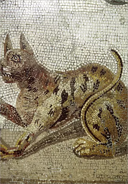 Detail from Roman mosaic showing a cat, Pompeii, Italy