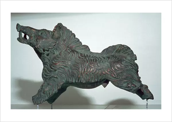 Bronze Boar