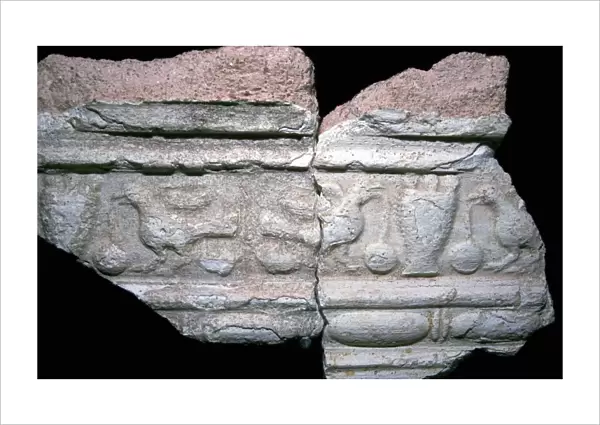 Roman plaster wall decoration
