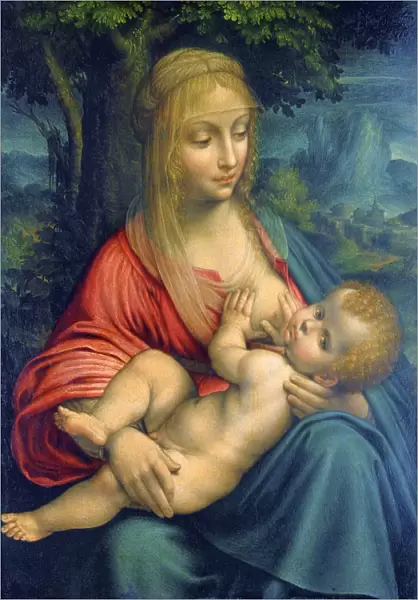 The Virgin and Child, c1511. Artist: Leonardo da Vinci