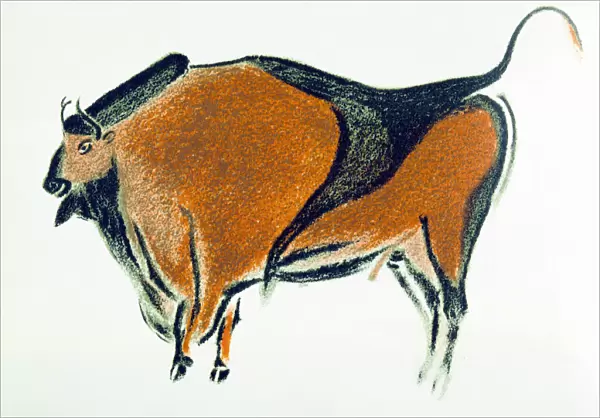 Bison, copy of a Palaeolithic cave painting at Altamira, northern Spain, 1913
