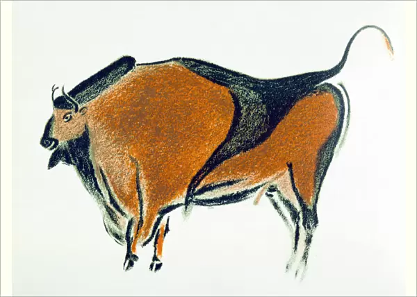 Bison, copy of a Palaeolithic cave painting at Altamira, northern Spain, 1913