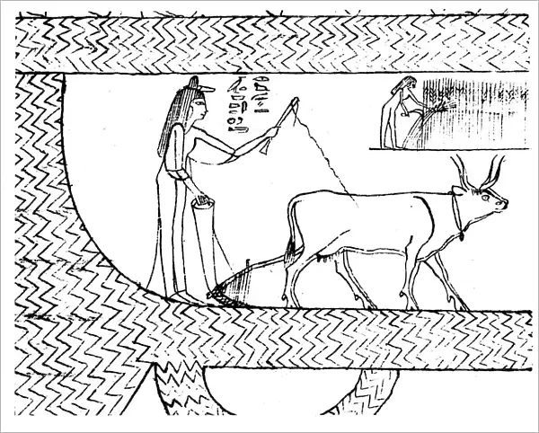 Nesitanebtashru ploughing and reaping, c1025 BC