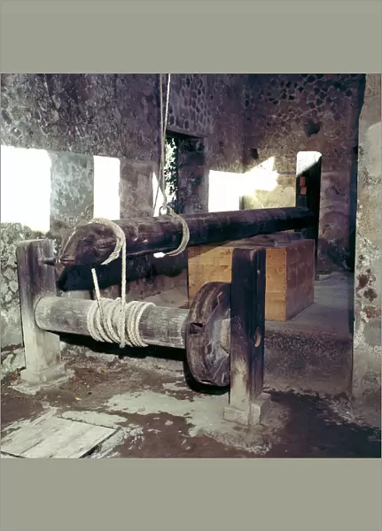 Wine-press in a house in Pompeii, Italy