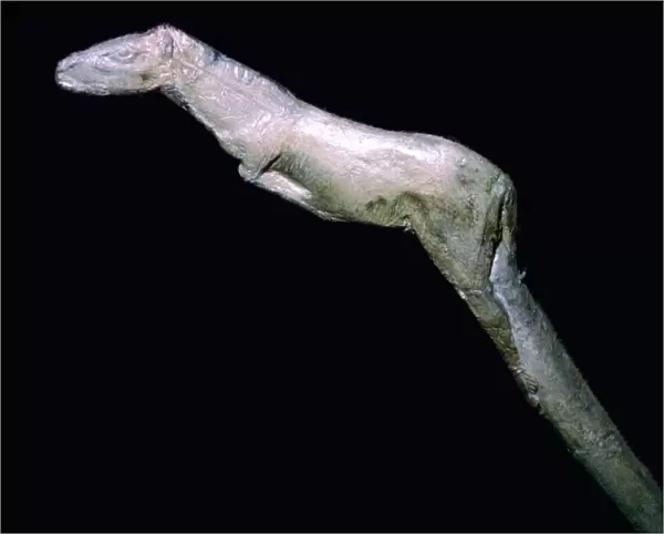 A paleolithic carved bone horse