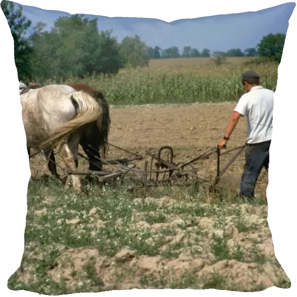 Horse ploughing in Hungary. Artist: CM Dixon