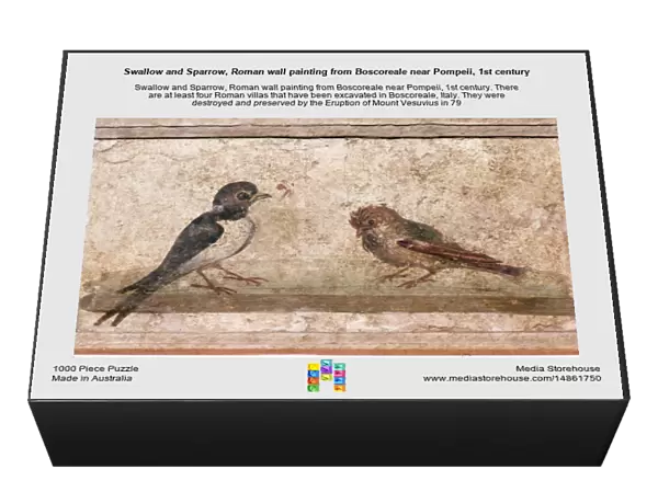 Swallow and Sparrow, Roman wall painting from Boscoreale near Pompeii, 1st century