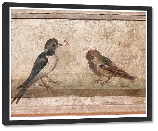 Swallow and Sparrow, Roman wall painting from Boscoreale near Pompeii, 1st century