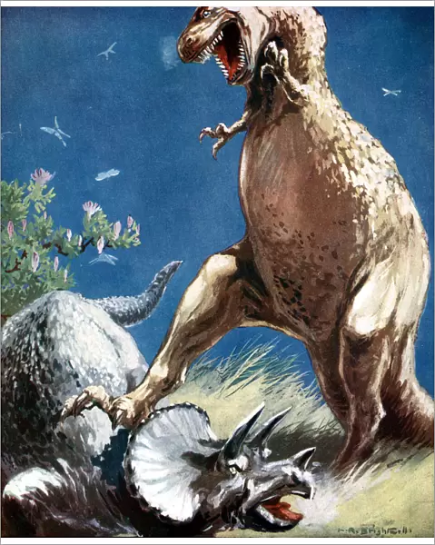 Triceratops, a horned dinosaur, held down by a Tyrannosaur, c1920