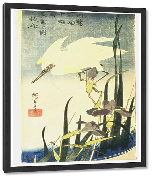 White Heron and Irises, 1833