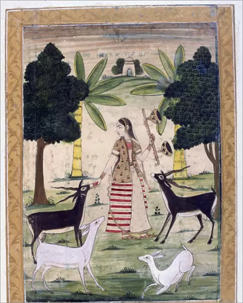 Todi Ragini, Ragamala Album, School of Rajasthan, 19th century