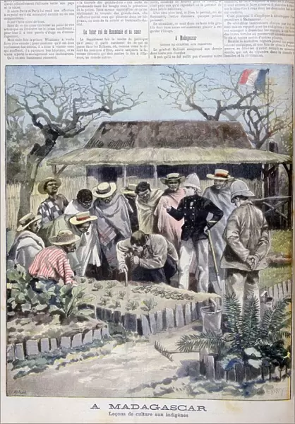 Agricultural lesson for the indigenous people of Madagascar, 1897. Artist: F Meaulle