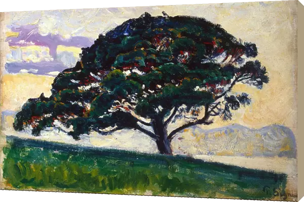 Large Pine, Saint-Tropez, 1892-1893. Artist: Paul Signac
