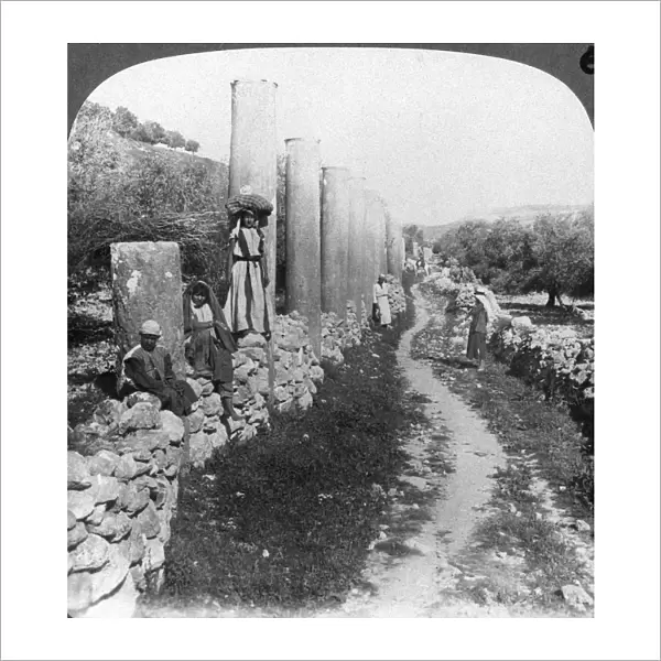 Herods street of columns, Samaria, Palestine (Israel), 1905. Artist: Underwood & Underwood