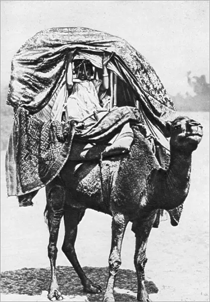 A girl on a camel litter, Algeria, 1922. Artist: Crete