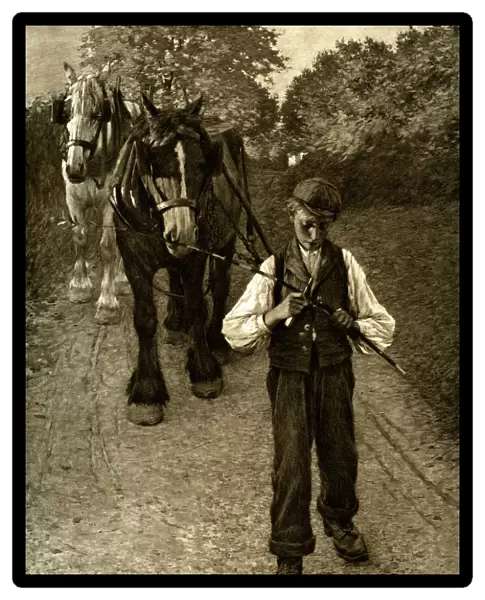 The Plough Boy, 1900