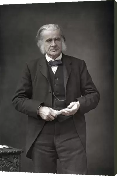 Thomas Henry Huxley (1825-1895), English biologist, 1890. Artist: W&D Downey