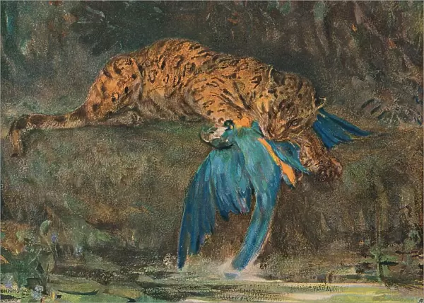 Jaguar and Macaw, late 19th century. Artist: John MacAllan Swan