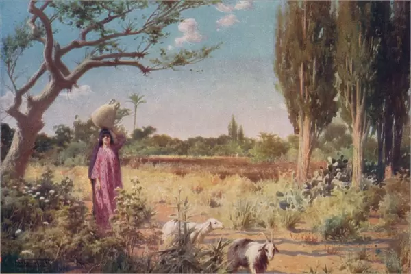 A Pastoral near Damietta, c1880, (1904). Artist: Robert George Talbot Kelly