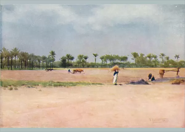 Esbet-El-Ekiad - Land of Goshen, c1880, (1904). Artist: Robert George Talbot Kelly