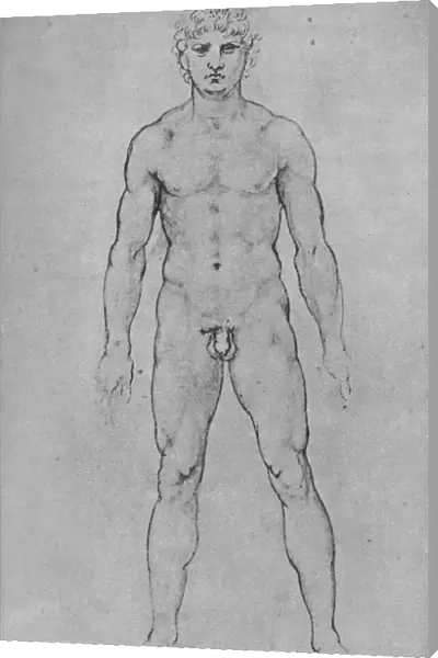 A Nude Man seen from the Front, c1480 (1945). Artist: Leonardo da Vinci