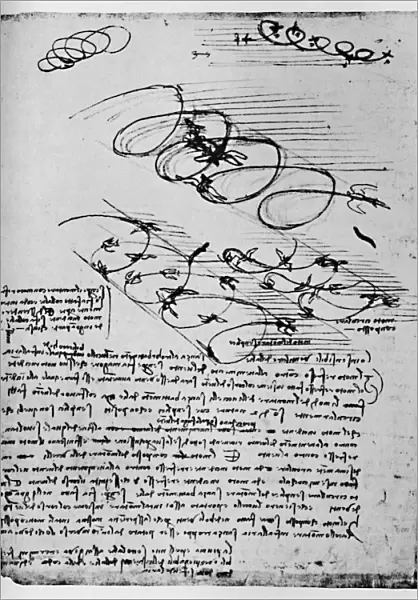 Studies of Birds in Flight When Rising and Circling, 1928. Artist: Leonardo da Vinci