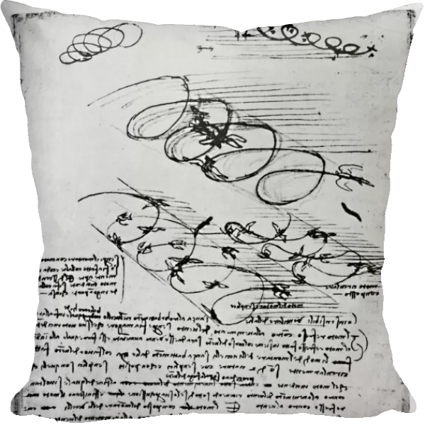 Studies of Birds in Flight When Rising and Circling, 1928. Artist: Leonardo da Vinci