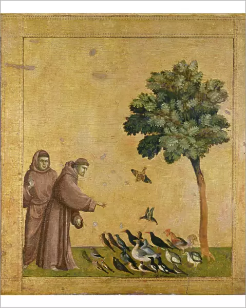 The Sermon to the Birds. Artist: Giotto di Bondone (1266-1377)