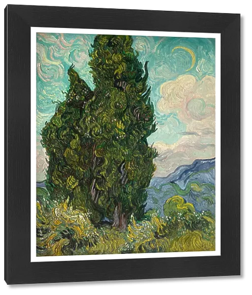 Cypresses. Artist: Gogh, Vincent, van (1853-1890)