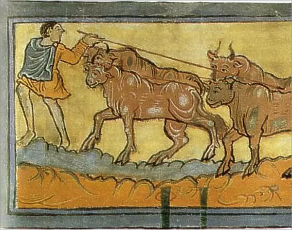 Peasants ploughing (Miniature from the Cotton MS Tiberius), 11th century. Artist: Anonymous